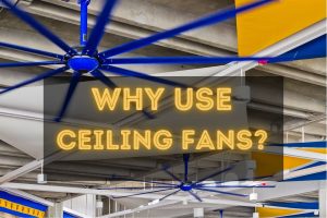 ceiling fan in Brisbane