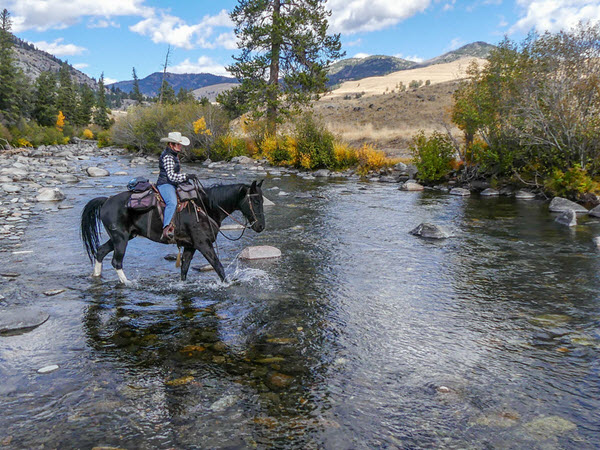 https://www.flickr.com/photos/yellowstonenps/33294412078/