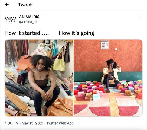 meme marketing example by Anima Iris